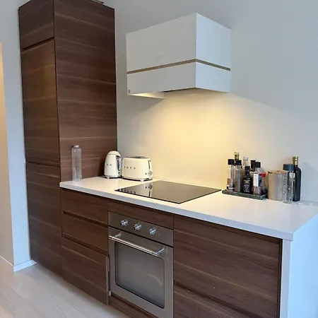Modern, Newly Renovated And In * Όσλο